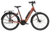 Trek District+ 4 Lowstep XL Pennyflake 800WH
